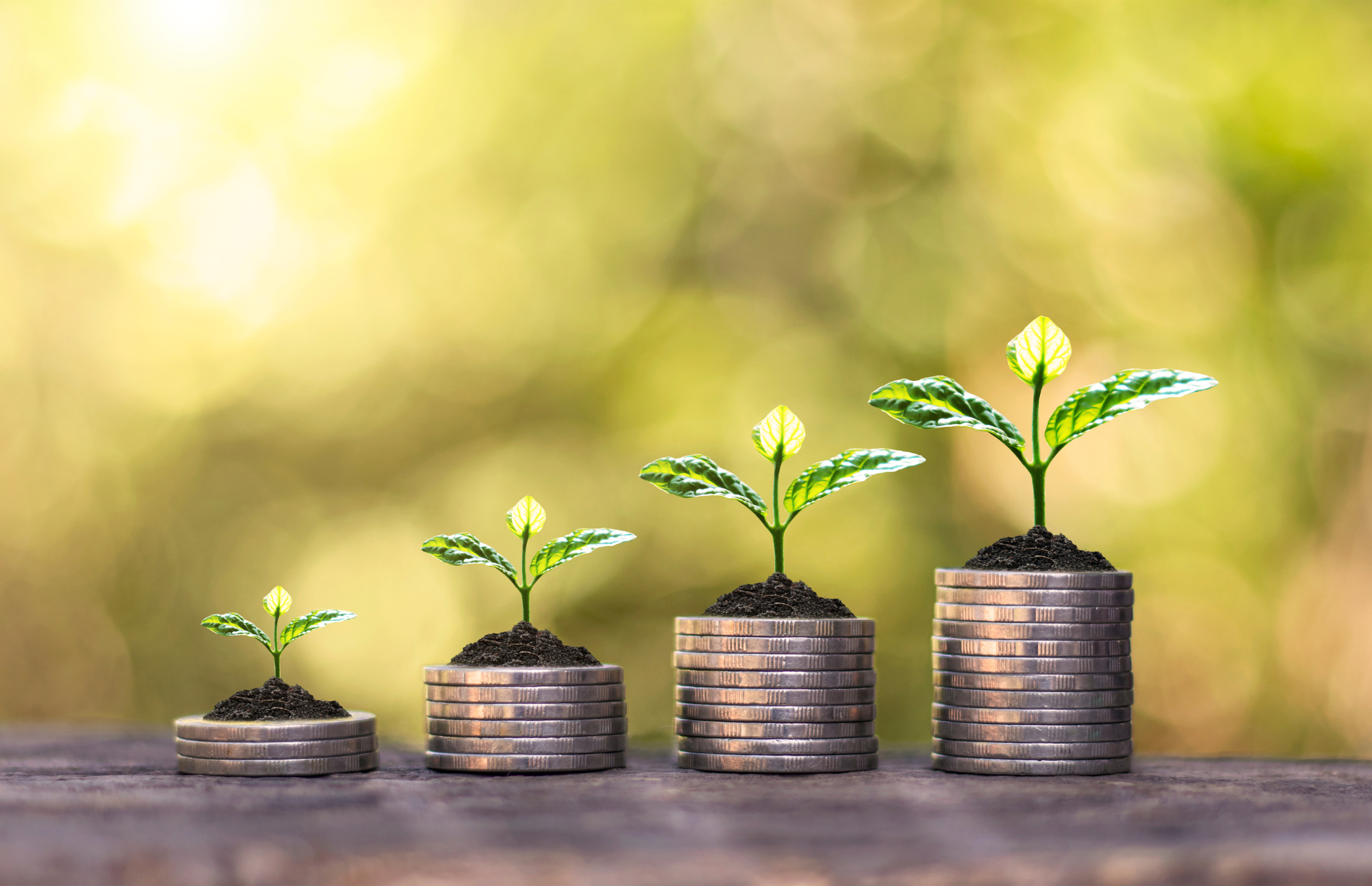 Jak zhodnotit peníze, jak investovat, výhdoy pasivního investování